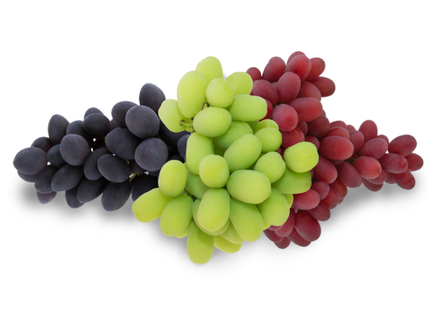 Grapes