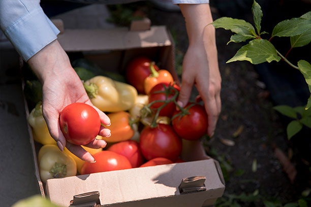 Pianto For Agriculture Development